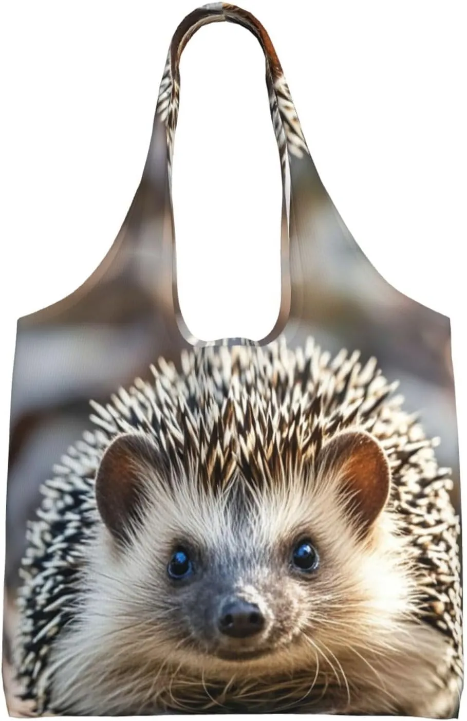 Canvas Tote Bag Reusable Grocery Bags Lightweight Handbag Lion image Tote Bag for Shopping Cloth Bags