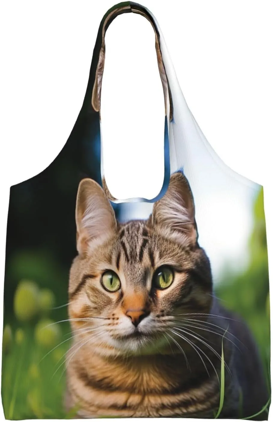 Canvas Tote Bag Reusable Grocery Bags Lightweight Handbag Northern Lights Tote Bag for Shopping Cloth Bags
