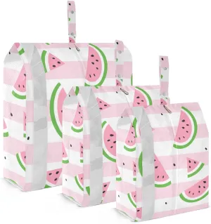 Summer Watermelon Stripe Packing Cubes Set of 3, Lightweight Travel Luggage Organizers Foldable Bags for Easy Packing and Organization